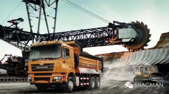 Shacman /H3000/F3000/6X4/8X4 camion-benne/camion spécial